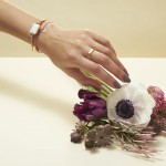 Aries-Rainbow-Moonstone-Lifestyle.0