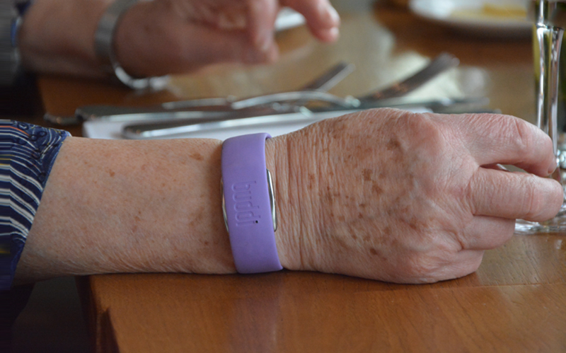 Buddi wristband wearable
