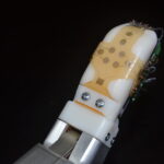 Robothuid