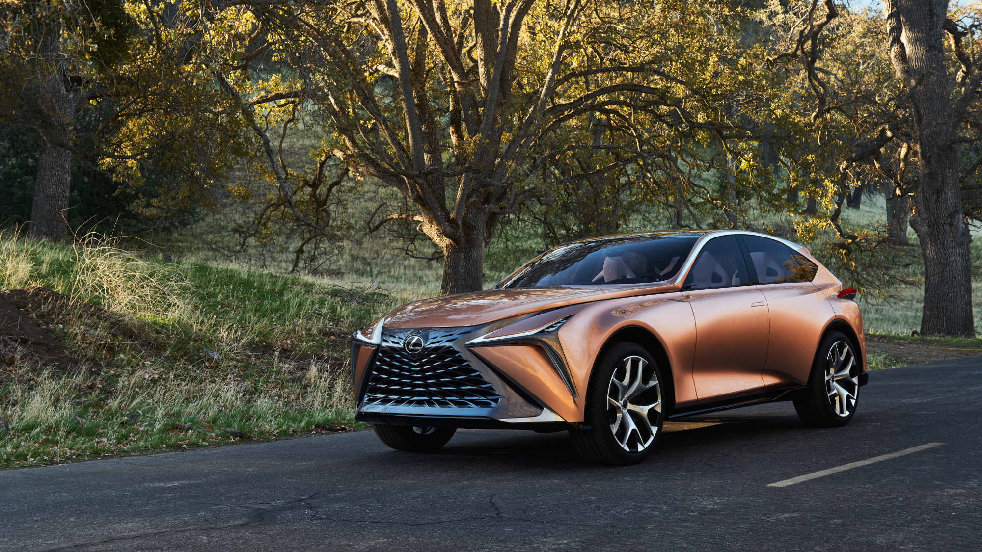 Lexus LF-1 'Limitless'