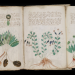 Manuscript Kunstmatige Intelligentie