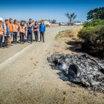 Vattenfall Solar Team, World Solar Challenge 2019