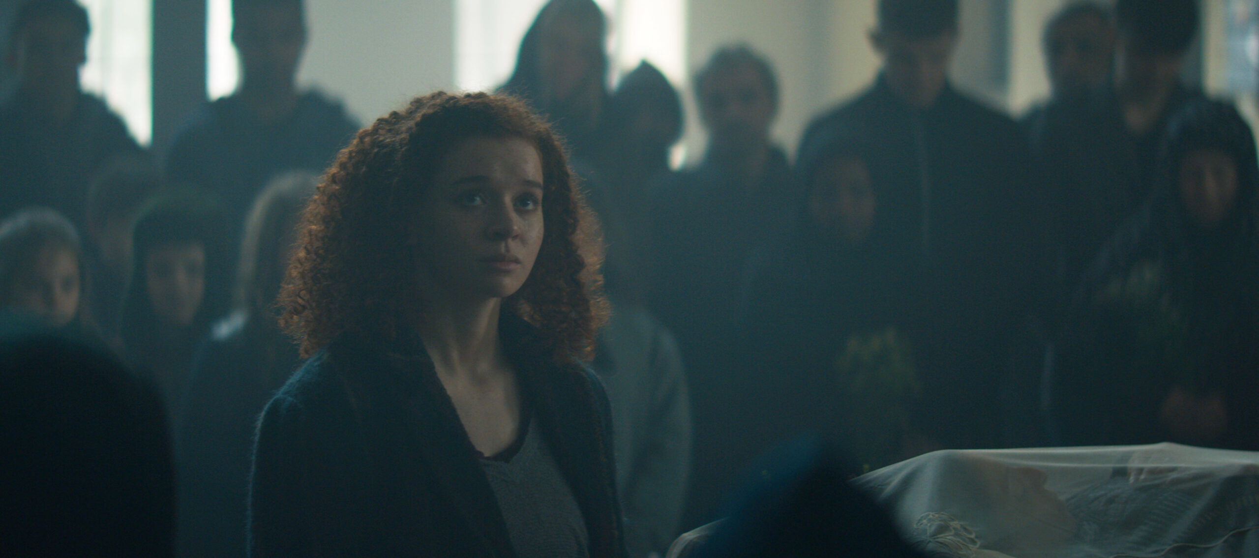 The Falcon and the Winter Soldier