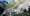 10_Nismo_wingsuit