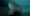 110926_Philips_Bloom_01