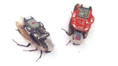 131210_bi_roboroach.jpg.CROP.promovar-mediumlarge