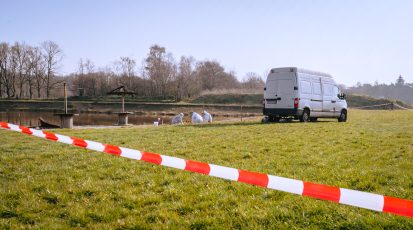 3938-8052a03fab62a8eb2efae1df98a1dfb2