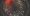 tweetreach-bbc-nyt-arizona-university-numrush