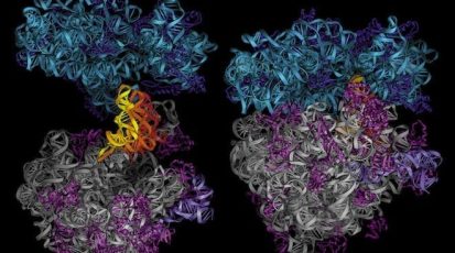 70s_openbook_nolabels