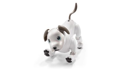 Aibo Sony