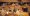 Bild11