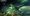 F1EA4F80-5741-4873-AFEB-3A0547D01C38-1536x864