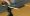 ForcePhone