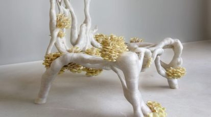 "Mycelium Chair" van Eric Klarenbeek