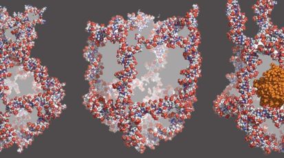 Nanobot