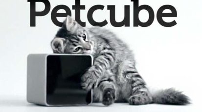 Petcube