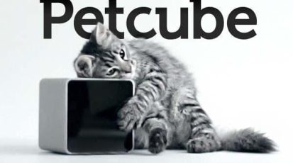 Petcube