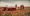 Solar Team Twente World Solar Challenge 2019