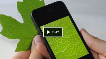 Screen Shot 2013-08-27 at 11.15.16 AM