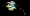 Screen Shot 2015-06-19 at 2.58.49 PM