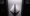 Screen Shot 2015-09-01 at 23.56.44