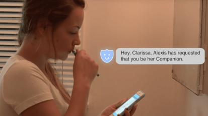 Companion Veiligheid