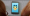 My Tamagotchi Forever