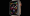 Apple Watch Series 4