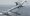 Project TERN
