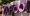 Yahoo-logo-624x351