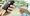 Adyen