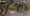 De afbeelding bij dit artikel is door Flickr-gebruiker BTC Keychain beschikbaar gesteld onder Creative Commons BY 2.0.