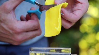 c8fc390237f7858f8f40952b7328535f_original