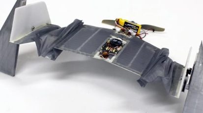 daler vleermuis robot