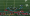 dataviz_NFL_2