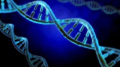 dna
