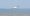 duckdrone-600x274