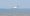 duckdrone-600x274