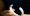 e372217478be1db4b391f61e5160c2d1_large