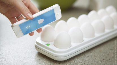 egg-minder-2