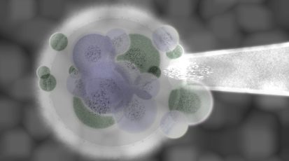 Grey Purple 3d Organic Cell Body Matter Medical Illustration wit