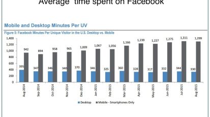 facebook gebruik per maand