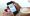 google-maps-iphone-090113