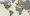 hootsuite_5million_numrush