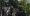 huc2-ff-003556_19dc1374
