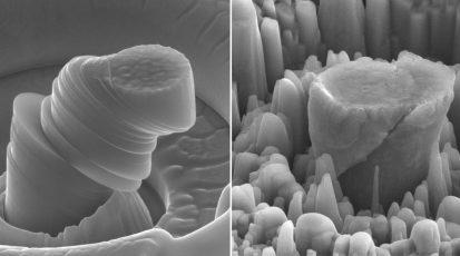 magnesium+comparison_0c05ef44-03a5-44be-ad60-97d3ff88351e-prv