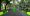 Super Mario Bros Central Park augmented reality