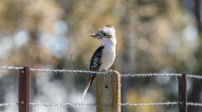 matthew-willimott-FNWutpRnHd4-unsplash