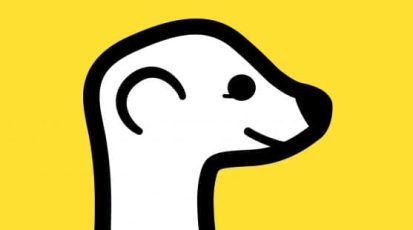 meerkat2