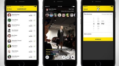 meerkat2